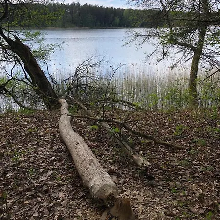 Pod Lipa روسيان-نيدا
