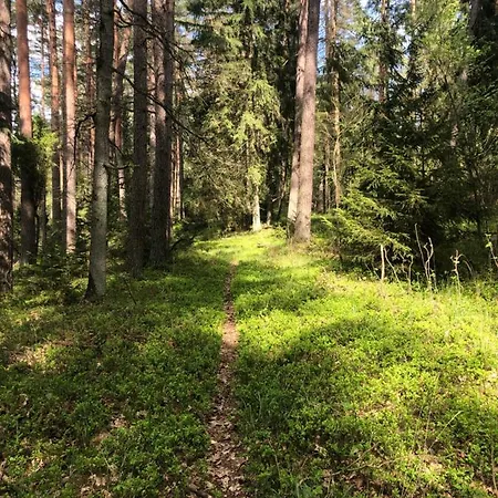 Lodge Pod Lipa Ruciane-Nida