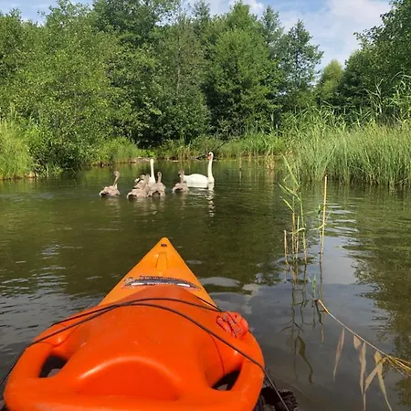 Pod Lipa بيت خشبي *