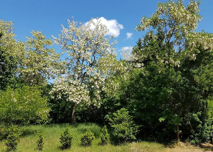 Pod Lipa * Ruciane-Nida