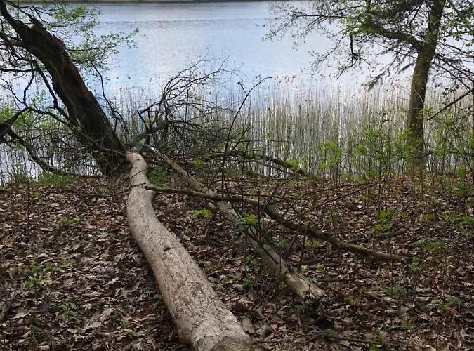 Pod Lipa ルチャネ・ニダ