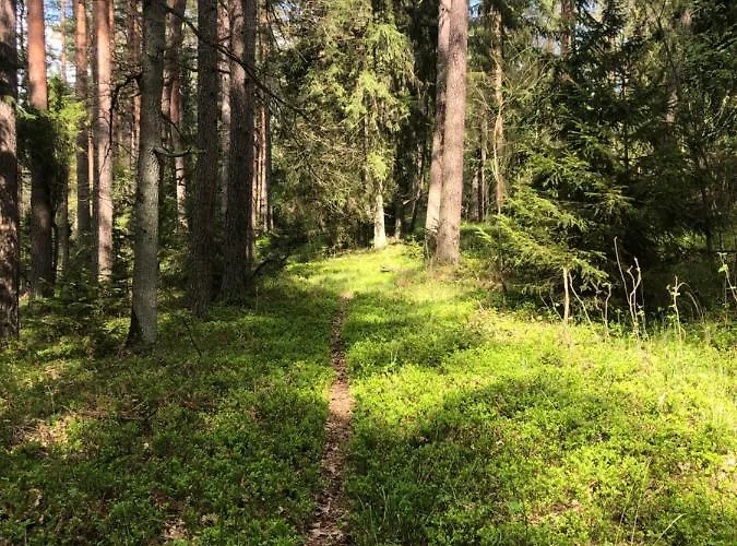 Lodge Pod Lipa Ruciane-Nida