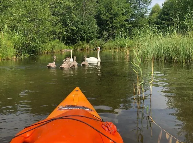 Pod Lipa ロッジ *